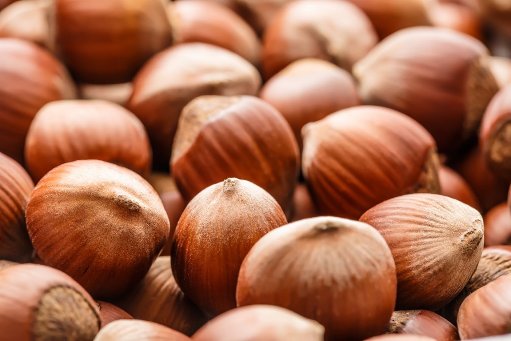 Hazelnut