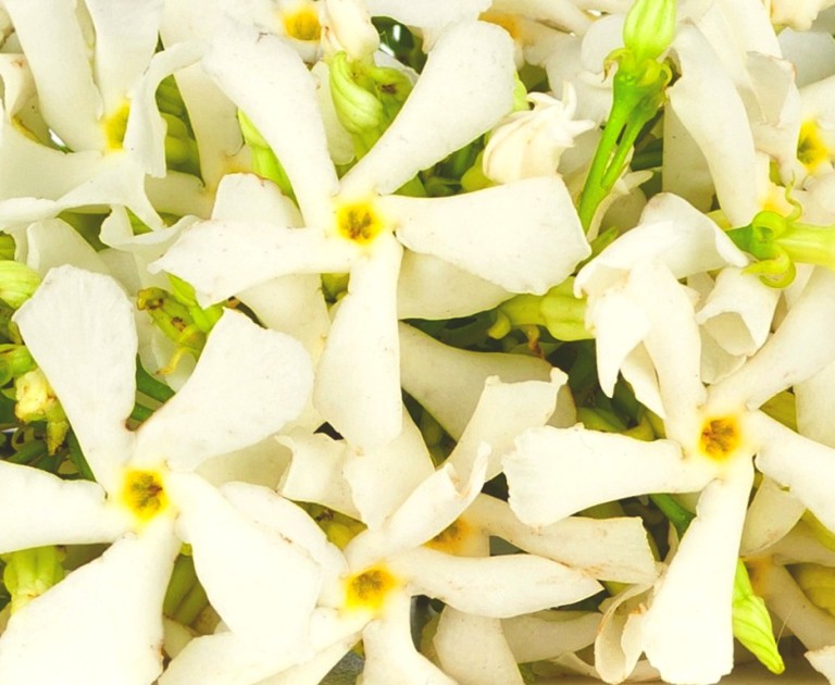 Neroli