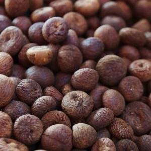 Nutmeg Oil Grenada | Organic and Essential Oils | Equinox Aromas