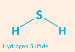 hydrogensulfide
