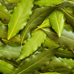 Bay Leaf oil | Essential Oils and Resinoids