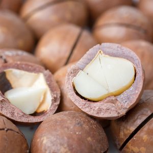 Macadamian Nut Oil | Organic Vegetable Oils | Equinox Aromas